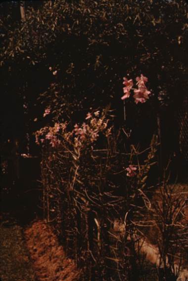 A picture containing dark, night
Description automatically generated